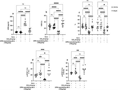 Osteopontin neutralization increases vitamin D receptors on NKT cells and ameliorates liver fibrosis by promoting their activity